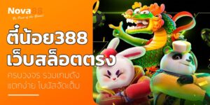ตี๋น้อย388