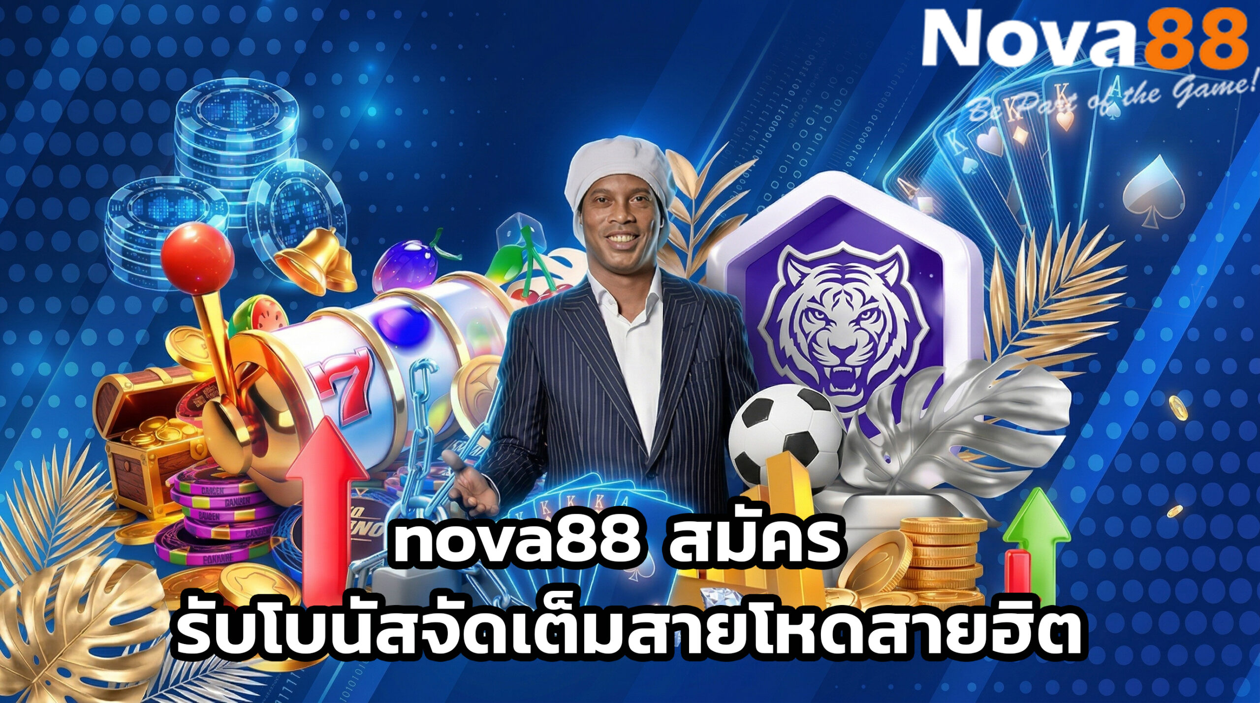 nova88 สมัคร